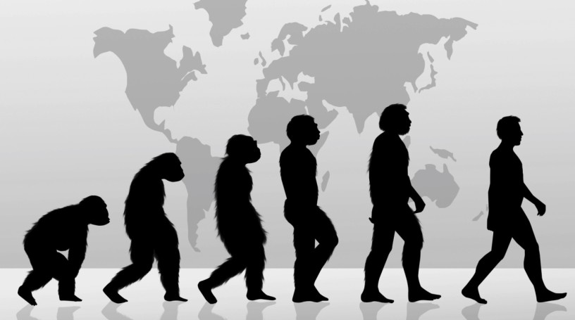 Evolution