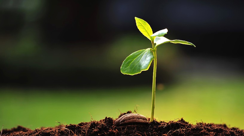 Stewardship