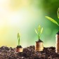 Stewardship series – Two key biblical principles about money and their impact for pastoral leadership