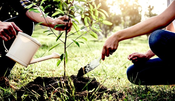 Stewardship
