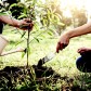 Stewardship series – Should be church giving personal but not private?